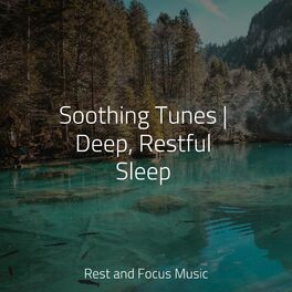 Album cover of Soothing Tunes | Deep, Restful Sleep