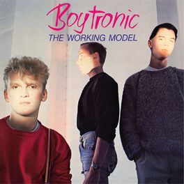 Album cover of The Working Model (Deluxe Edition)