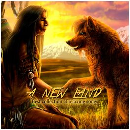 Album cover of A New Land (Best Collection Of Relaxing Songs)