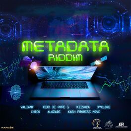 Album cover of Metadata Riddim
