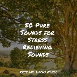 Album cover of 50 Pure Sounds for Stress Relieving Sounds