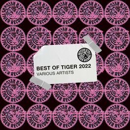 Album cover of Best Of Tiger 2022