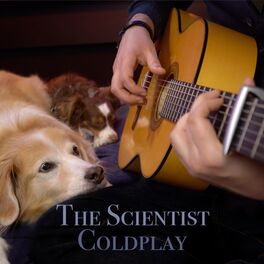 Album cover of The Scientist