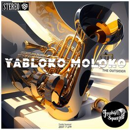 Album cover of The Outsider