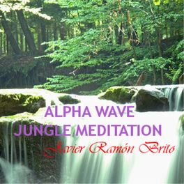 Album cover of Alpha Wave Jungle Meditation