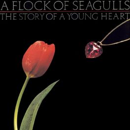 Album cover of The Story Of A Young Heart