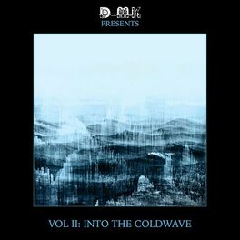 Album cover of DMK PRESENTS - VOL II: Into The Coldwave