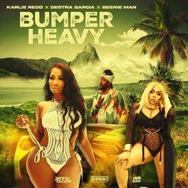 Album cover of Bumper Heavy (Remix)