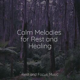Album cover of Calm Melodies for Rest and Healing