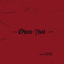 Album cover of Own That (feat. KA$H, OBA & dndSection)