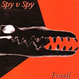 Album cover of Fossil