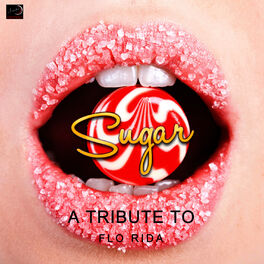 Album cover of Sugar - A Tribute to Flo Rida