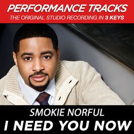 Album cover of I Need You Now (Performance Tracks)