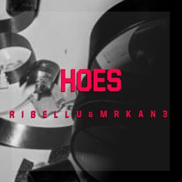 Album cover of Hoes