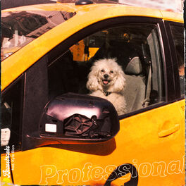 Album cover of Professional