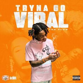 Album cover of Tryna Go Viral
