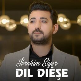 Album cover of Dil Diêşe