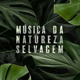 Album cover of Música da Natureza Selvagem: Relaxamento Exótico com Sons de Animais