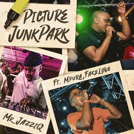 Album cover of Picture JunkPark