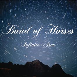 Album cover of Infinite Arms