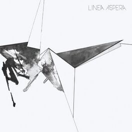 Album cover of Linea Aspera