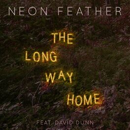 Album cover of The Long Way Home (feat. David Dunn)