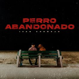Album cover of Perro Abandonado