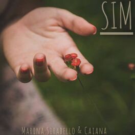 Album cover of Sim
