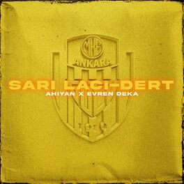 Album cover of Sarı Lacidert