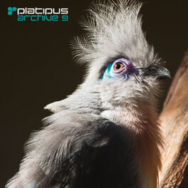 Album cover of Platipus - Archive 9