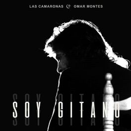 Album cover of Soy Gitano