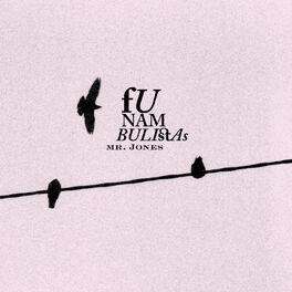 Album cover of Funambulistas