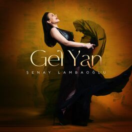 Album cover of Gel Yan