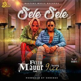 Album cover of Sele Sele