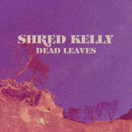 Album cover of Dead Leaves (Radio Edit)