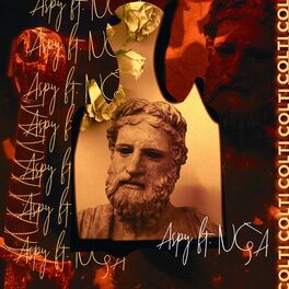 Album cover of Coltii (feat. NGA)