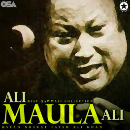 Album cover of Ali Maula Ali - Best Qawwali Collection