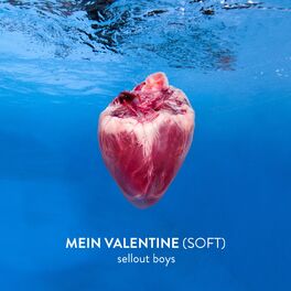 Album cover of Mein Valentine