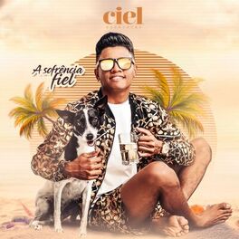 Album cover of Sofrência Fiel