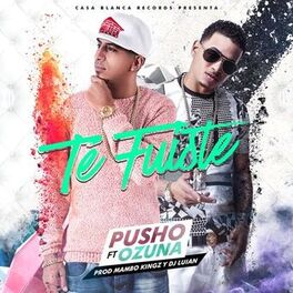 Album cover of Te Fuiste