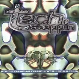 Album cover of Techsteppin'