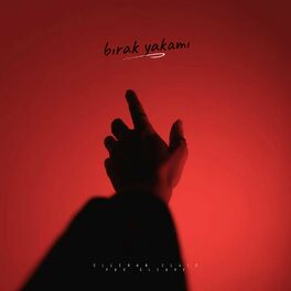 Album cover of Bırak Yakamı