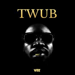 Album cover of Twub
