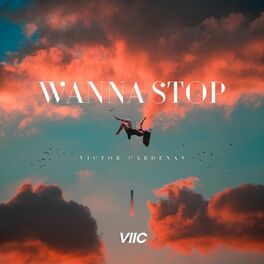 Album cover of Wanna Stop