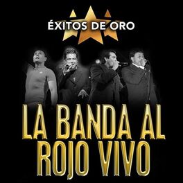 Album cover of Éxitos de Oro