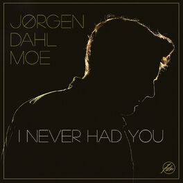 Album cover of I Never Had You
