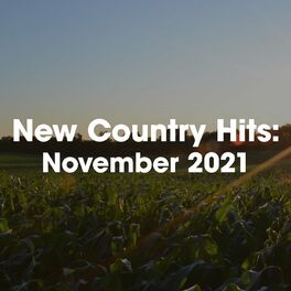 Album cover of New Country Hits: November 2021