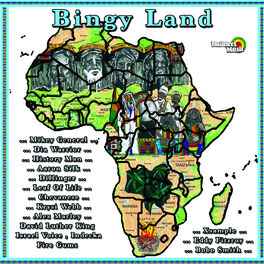 Album cover of Bingy Land