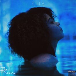 Album cover of The Process