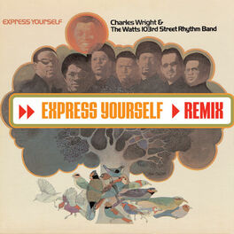 Album cover of Express Yourself (DMD Maxi Single)